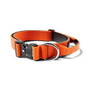 BullyBillows Combat Collar Orange