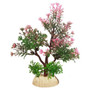 Betta Pink Tree 5"