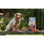 Cooper & Co Dry Dog Food Adult Turkey with Sweet Potato and Carrot