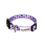 Doodlebone Collar Violet Stars