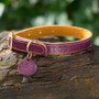 DOG Berry & Old Gold Leather Collar