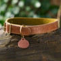 DOG Walnut & Moss Leather Collar