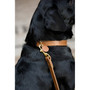 DOG Walnut & Moss Leather Collar