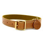 DOG Walnut & Moss Leather Collar