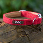 DOG Poppy Red Camel Tweed Collar