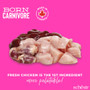 Schesir Dry Born Baby Chicken & Egg