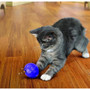 KONG Cat Active Treat Ball