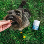 Blue Pet GoActive Joint & Muscle Chicken