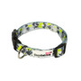 Doodlebone Collar Neon Paint Splat