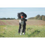 Chuckit! Breath Right Fetch Ball XL