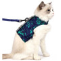 ZACAL Cat Harness Green & Navy