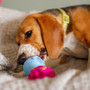 K9 Connectables Tech Bone