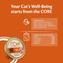 Wellness Core Cat Single Protein Turkey 85g