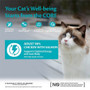 Wellness Core Cat Duo Protein Chicken & Salmon 85g