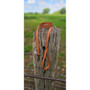 Trinkety Paws Biothane Lead Light Brown