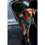 Twiggy Tags Lagoon 2.0 Harness
