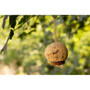 Chubby Hanging Suet Ball Insect Oil XL
