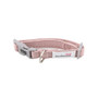 Doodlebone Dinky Dog Collar Pink
