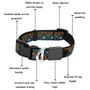 Neerdog Hollyhock Collar