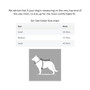 Neerdog Erysimum Collar