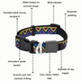 Neerdog Cosmos Collar