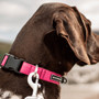 Neerdog Cosmos Pink Collar