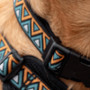 Neerdog Hollyhock Harness