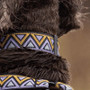 Neerdog Erysimum Harness