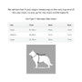 Neerdog Cosmos Harness