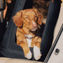 Tavo Crispin Pet Travel Crate