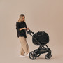 Tavo Hendrick  Pet Car Seat and Carrier