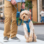 Dog Copenhagen Trail Lead Blue Large