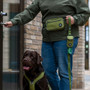 Dog Copenhagen Belt Bag Green