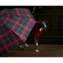 Barbour Saltburn Dog Jumper Red
