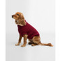 Barbour Saltburn Dog Jumper Red