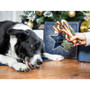 Cupid & Comet No Rawhide Gift Bag 280g