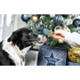 Cupid & Comet No Rawhide Gift Bag 280g