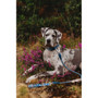 Twiggy Tags Oasis Horizon Rope Lead