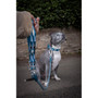 Twiggy Tags Oasis Horizon Rope Lead