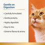 Karnlea Cat Beauty 100g