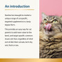 Karnlea Cat Appetite 100g