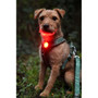 Twiggy Tags Trekbright Dog Safety Light