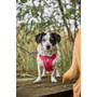 Hurtta Weekend Warrior Harness II ECO Ruby