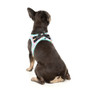 Fuzzyard Bubblegum Harness