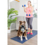 Hyper Pet Kettlebellz Gorilla Small
