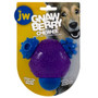 JW Gnaw Berry Chew-ee