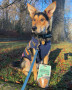 JR Pure Salmon Training Treats 50g