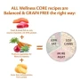 Wellness CORE Low Fat Turkey Grain Free Adult Dry Dog Food 10kg