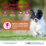 Wellness CORE Original Small Breed Turkey Grain Free Adult Dry Dog Food 5kg