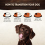 Wellness Core Small Dog Wet Food Savoury Medleys - How to Transition